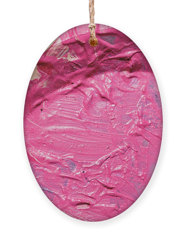 Art Ornament featuring the photograph Art Palette 2 by Amelia Pearn