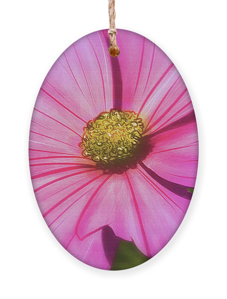 Flowers Ornament featuring the digital art Art - Pink Flower by Matthias Zegveld