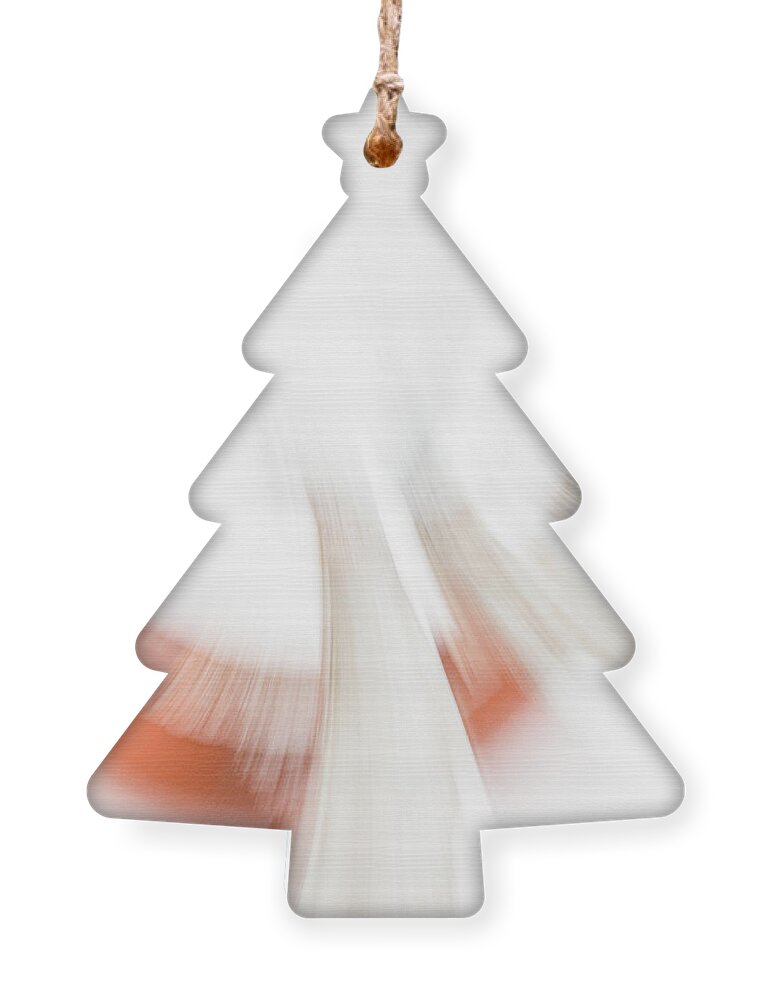 Birch Ornament featuring the photograph Ascension by Marilyn Cornwell