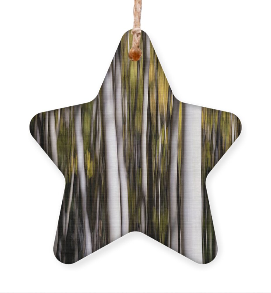 Aspen Ornament featuring the photograph Aspen Abstract No.1 by Margaret Pitcher