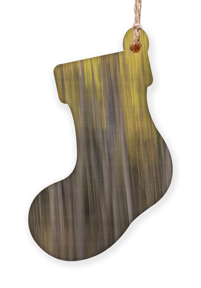 Aspen Ornament featuring the photograph Aspen Abstract No.2 by Margaret Pitcher