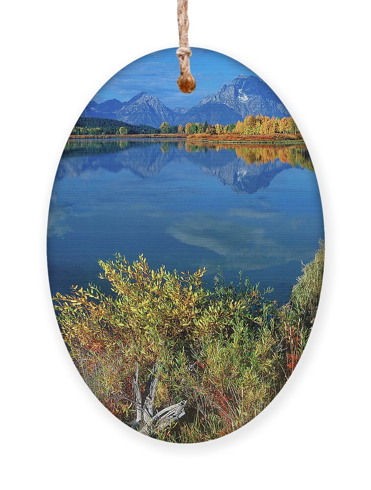 Dave Welling Ornament featuring the photograph Aspens Fall Oxbow Bend Grand Tetons National Park by Dave Welling