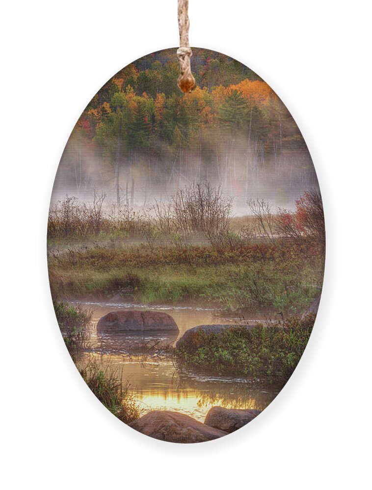 Maine Ornament featuring the photograph Autumn 34A2871 by Greg Hartford