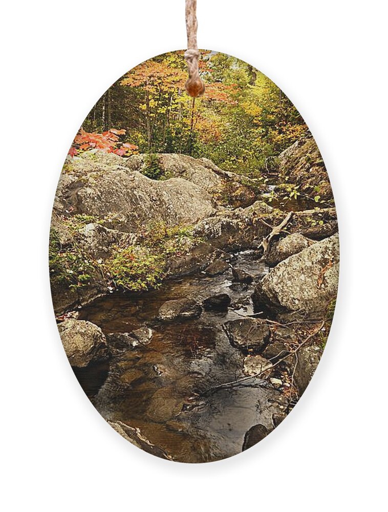 Landscape Ornament featuring the photograph Autumn at Dry Creek by Larry Ricker