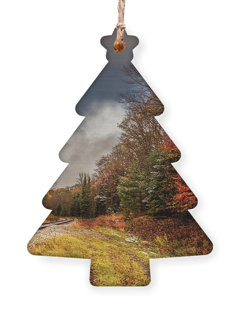 David Patterson Ornament featuring the photograph Autumn at the Tracks by David Patterson