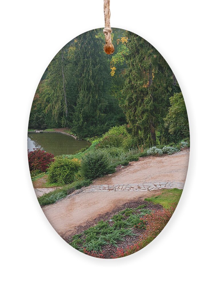 Jenny Rainbow Fine Art Photography Ornament featuring the photograph Autumn Beauty of Pruhonice Park by Jenny Rainbow