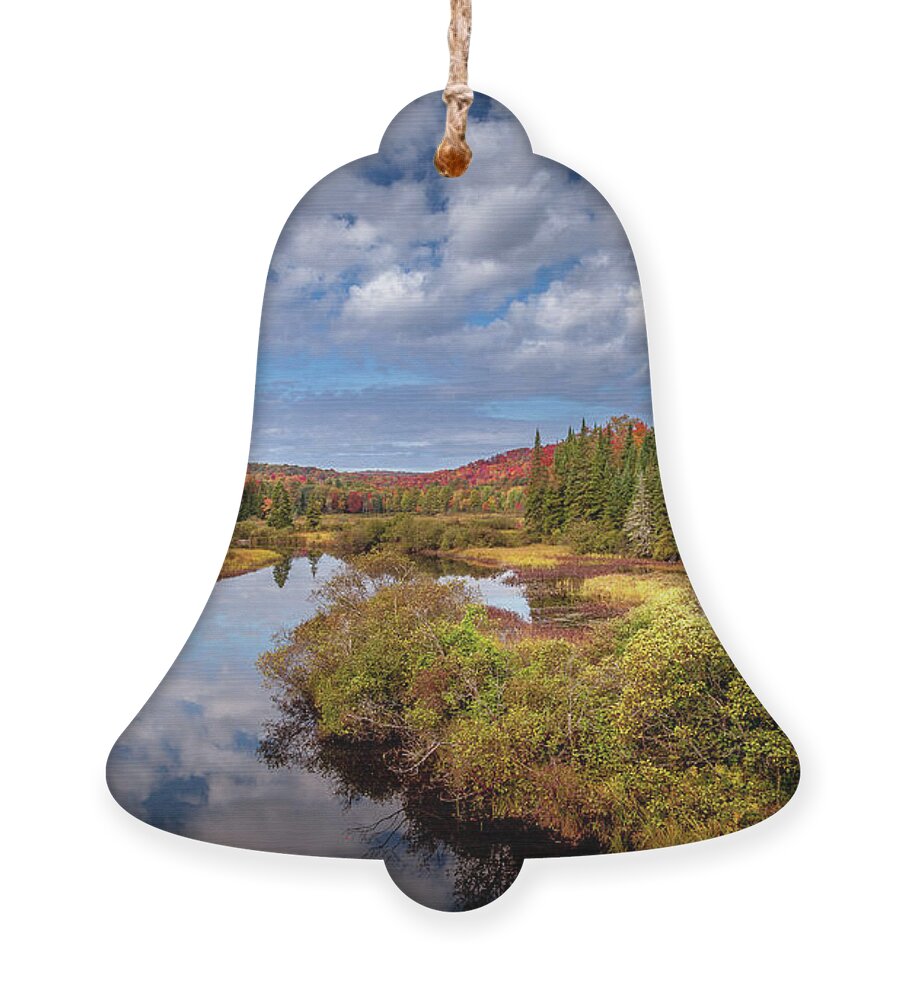 David Patterson Ornament featuring the photograph Autumn Color by David Patterson