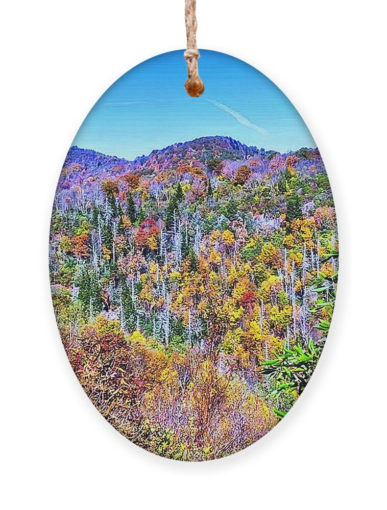 Autumn Ornament featuring the photograph Autumn Colors by Allen Nice-Webb