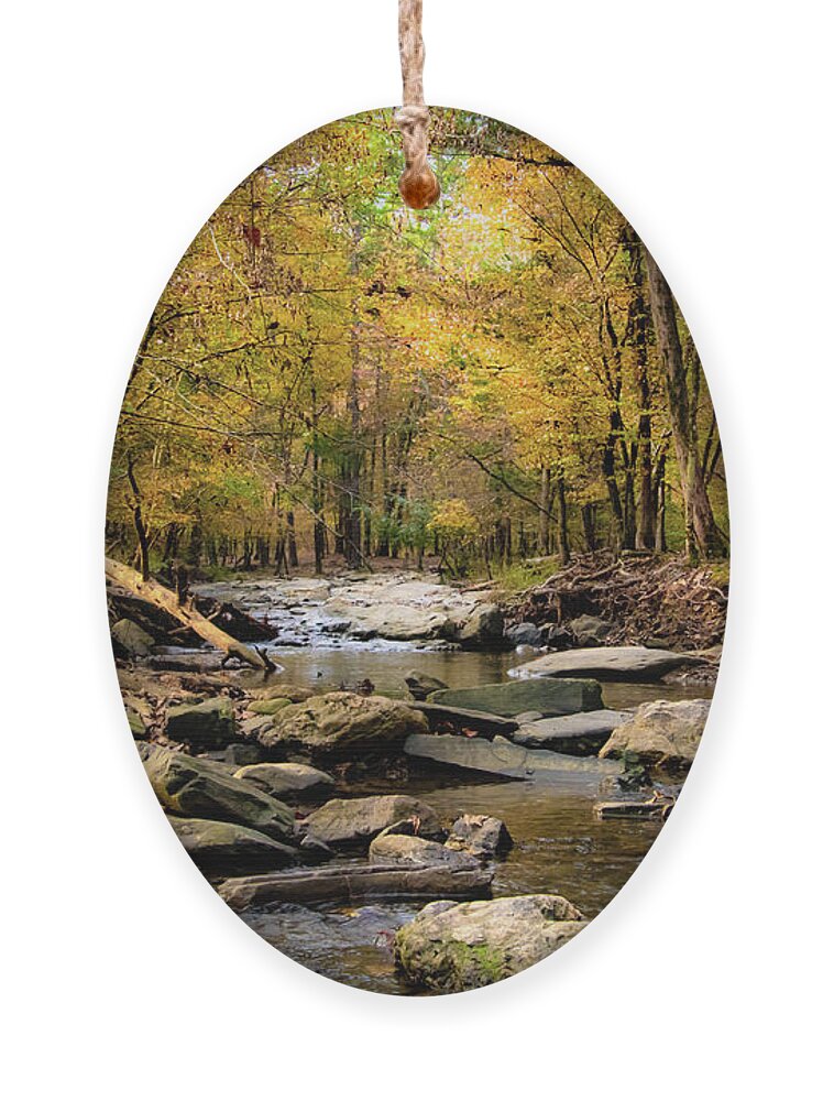 Creek Ornament featuring the photograph Autumn Creek by Pam Rendall