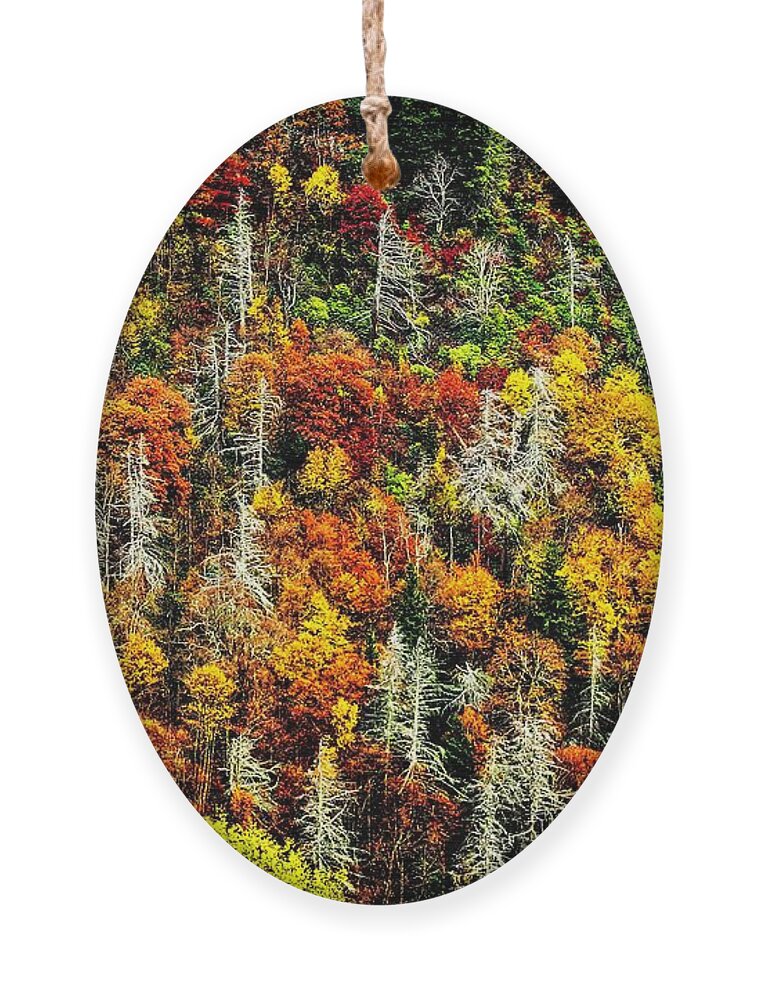 Autumn Ornament featuring the photograph Autumn Diversity by Allen Nice-Webb