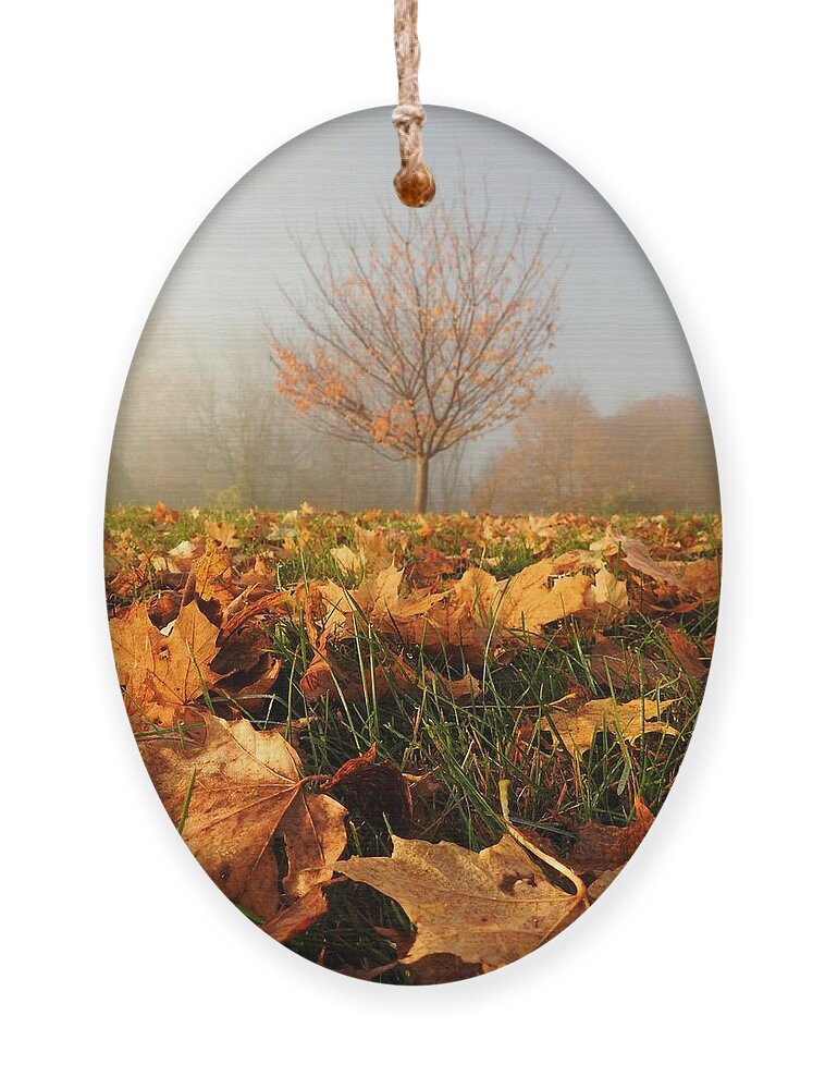 Autumn Ornament featuring the photograph Autumn Fog by Dark Whimsy
