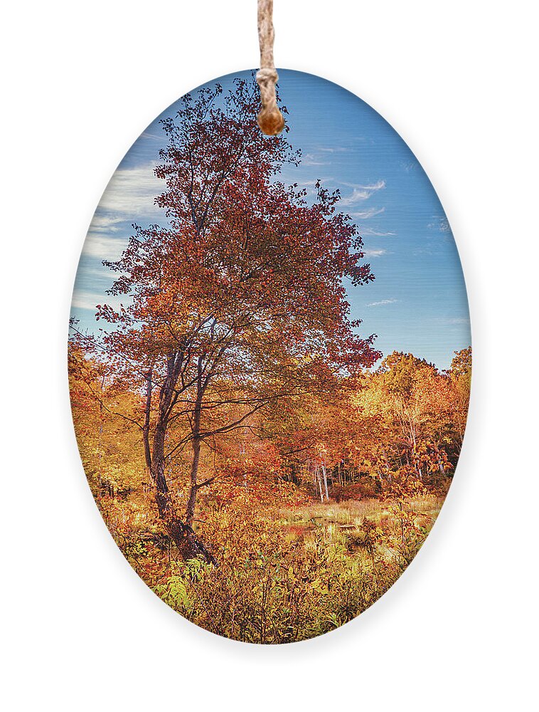 Foliage Ornament featuring the photograph Autumn foliage tree by Lilia S