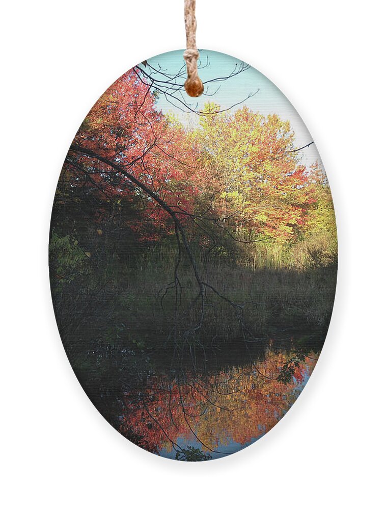 Salem Ornament featuring the photograph Autumn in Salem by Roxy Rich