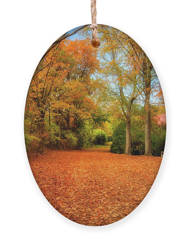 Autumn Ornament featuring the photograph Autumn in the Country by Shelia Hunt