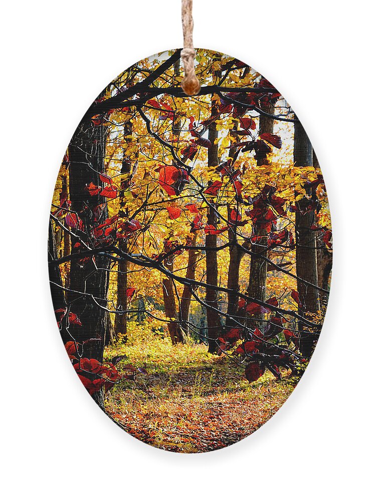 Nature Ornament featuring the photograph Autumn in the Piedmont No. 3 by Steve Ember