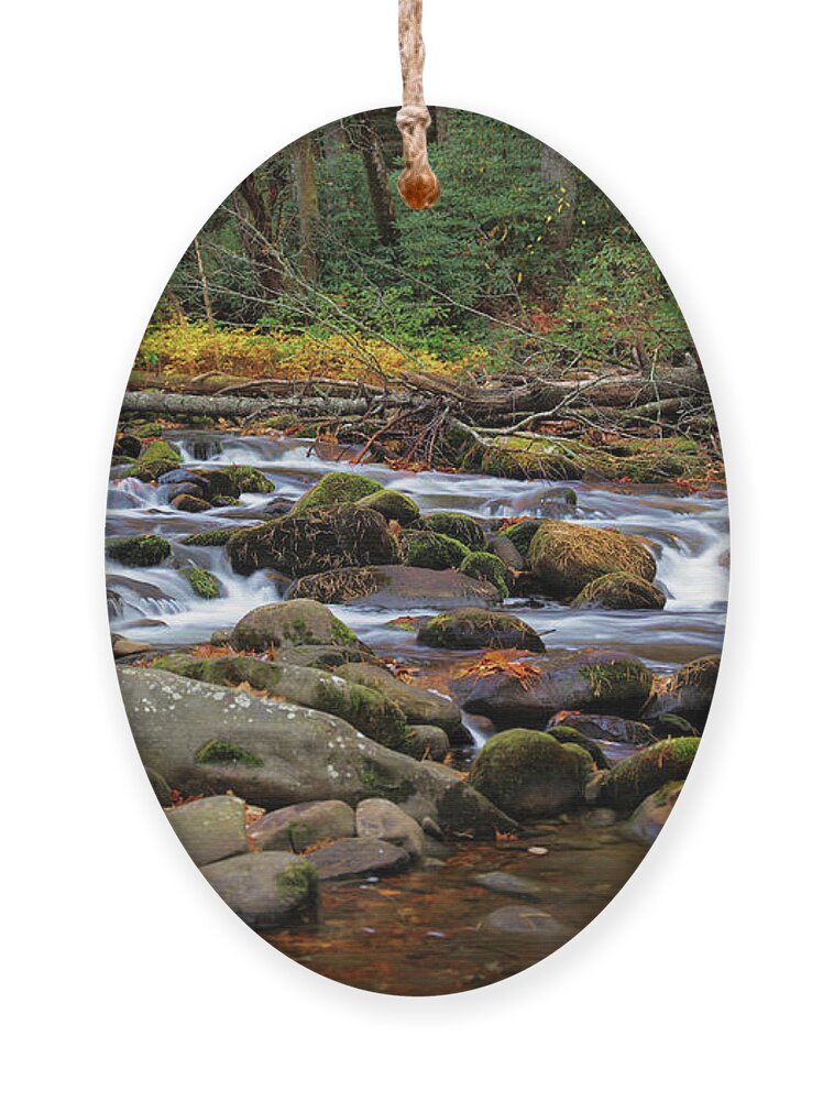 River Ornament featuring the photograph Autumn Lullabye by Rick Lipscomb