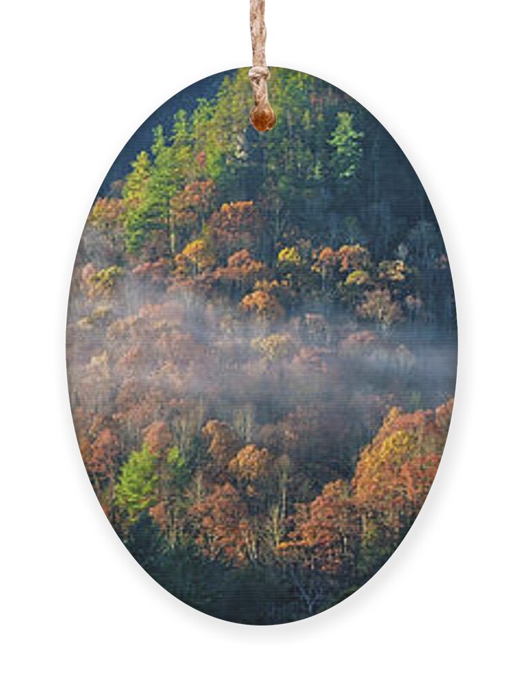 Autumn Ornament featuring the photograph Autumn Morning Mist by Monroe Payne