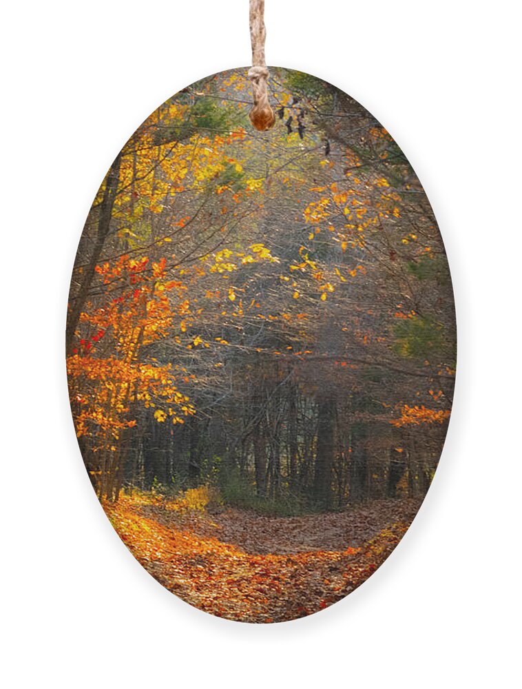 Autumn Ornament featuring the photograph Autumn Path by Bonny Puckett
