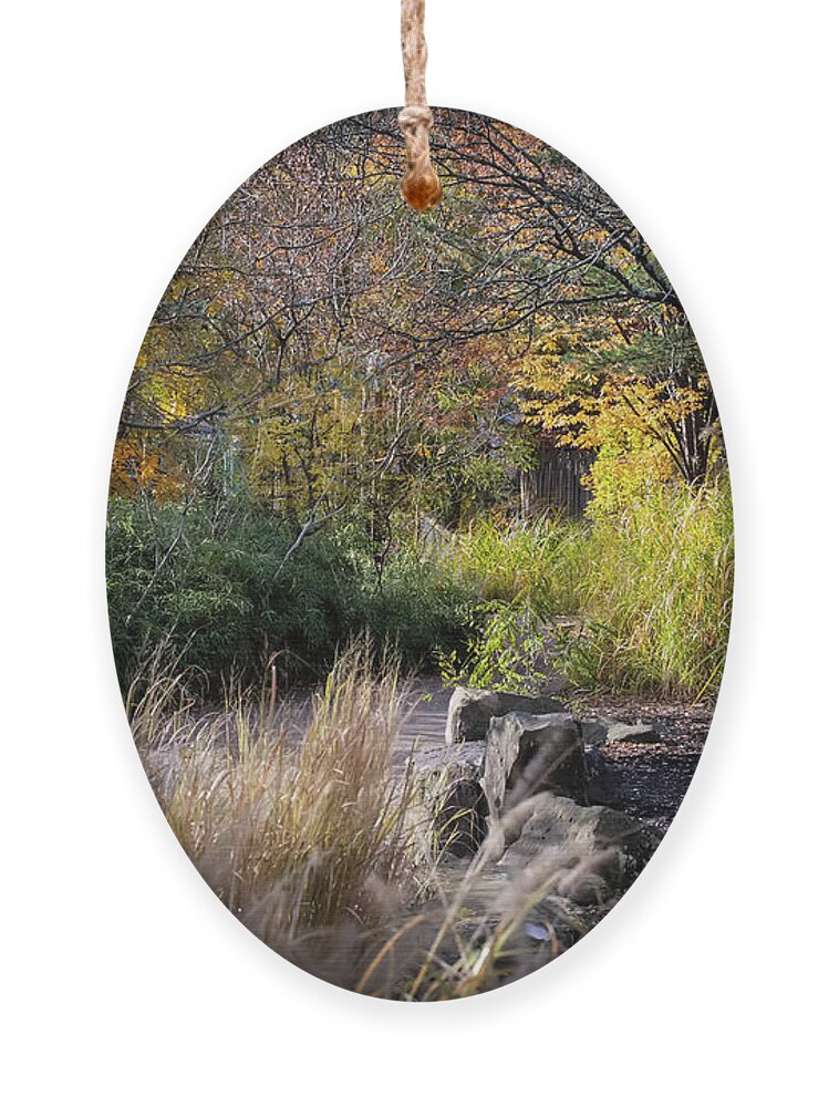 Cincinnati Ornament featuring the photograph Autumn Path Colors by Ed Taylor