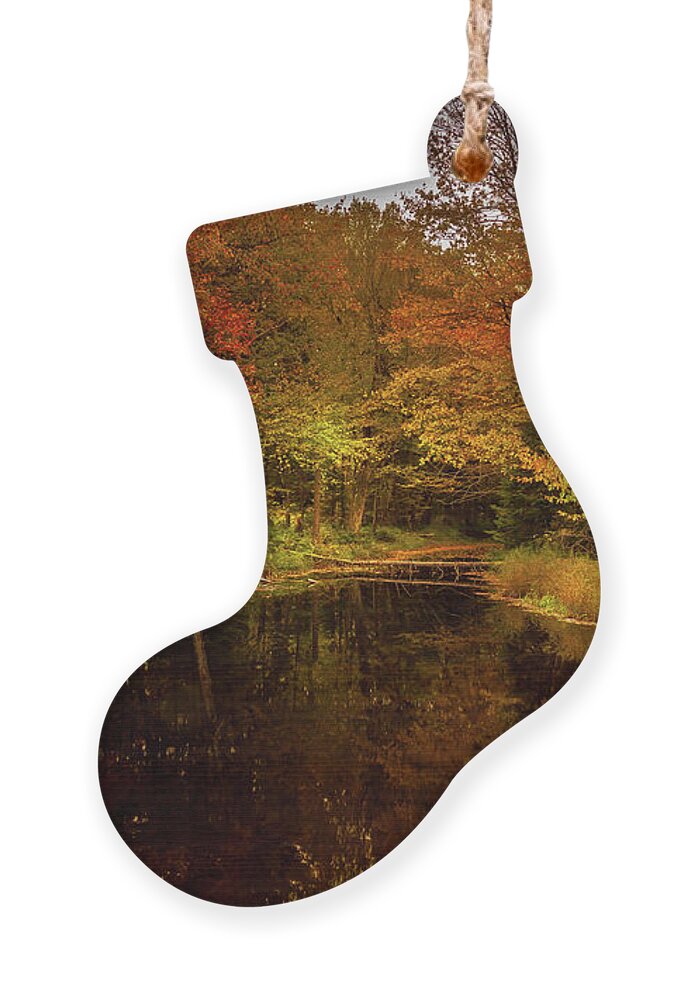 Autumn Stream Ornament featuring the photograph Autumn Stream by David Patterson
