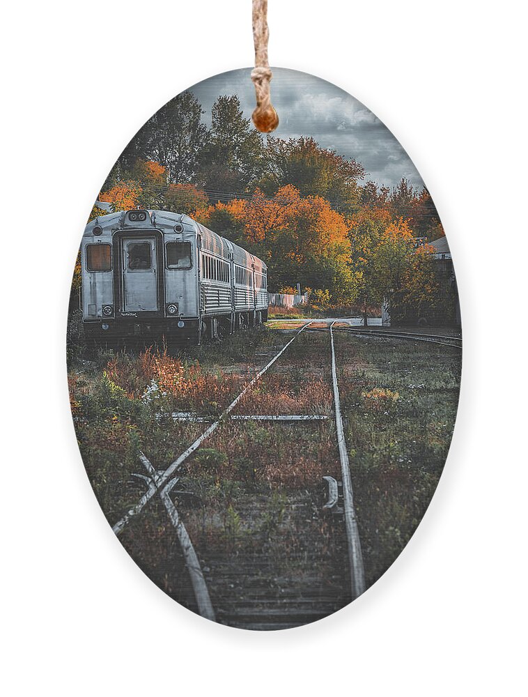 Autumn Ornament featuring the photograph Autumn Train of Uxbridge by Dee Potter