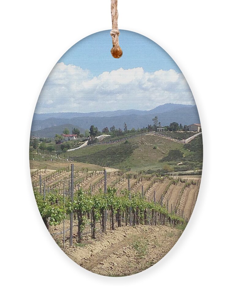 Avensole Ornament featuring the photograph Avensole Vineyard Temecula by Roxy Rich
