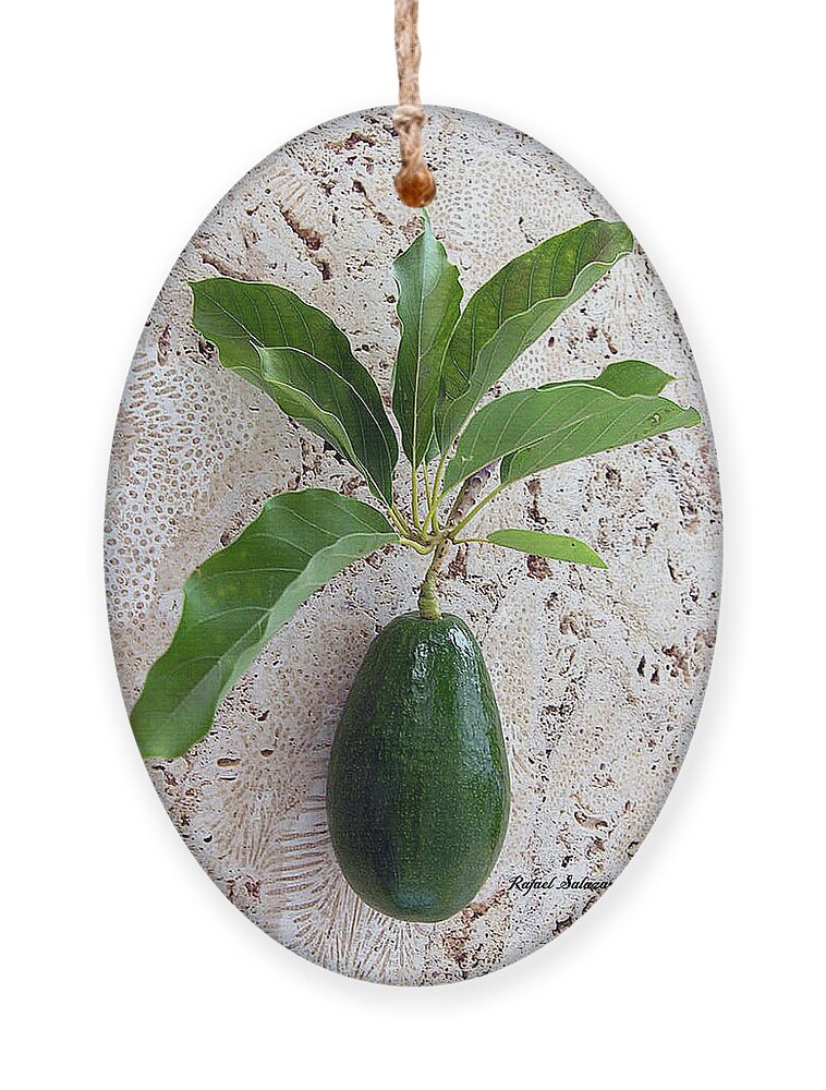 Still Life Ornament featuring the photograph Avocado Au Naturel by Rafael Salazar