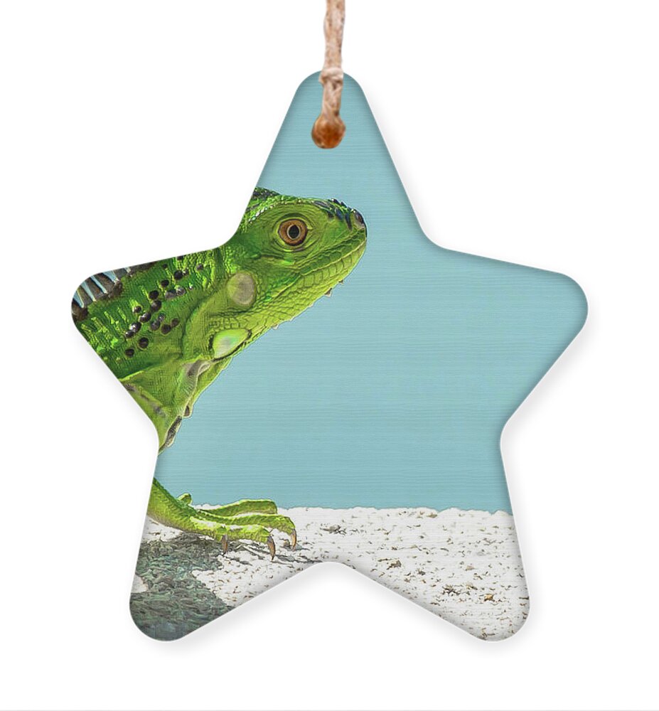 Baby Ornament featuring the photograph Baby Steps by Debra Kewley