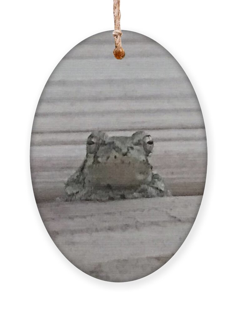 Frog Ornament featuring the photograph Back Porch Wood Frog by Mary Kobet