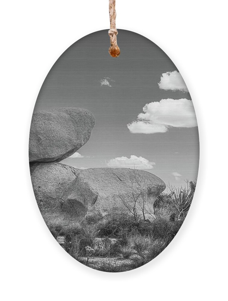 Desert Plants Ornament featuring the photograph Balamcing Acts - Black and White by Peter Tellone