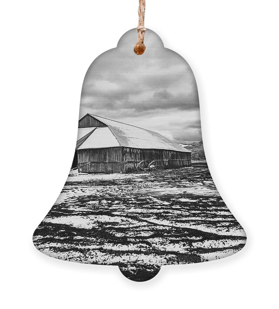Black And White Ornament featuring the photograph Barn Storming by Dan McGeorge