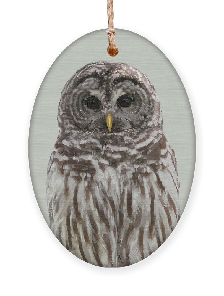 Barred Owl Ornament featuring the painting Barred Owl in 5 Colors by Judy Cuddehe