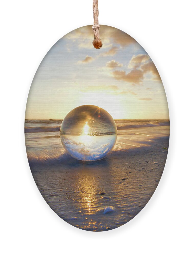 South Florida Ornament featuring the photograph Beach Ball by Nunweiler Photography