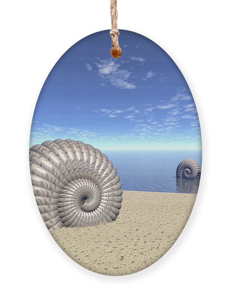 Ancient Ornament featuring the digital art Beach of Shells by Phil Perkins