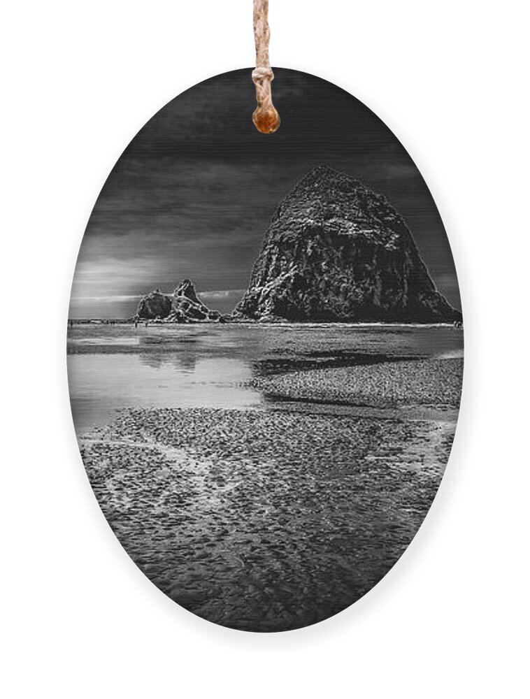 Beach Panorama Ornament featuring the photograph Beach Panorama by David Patterson