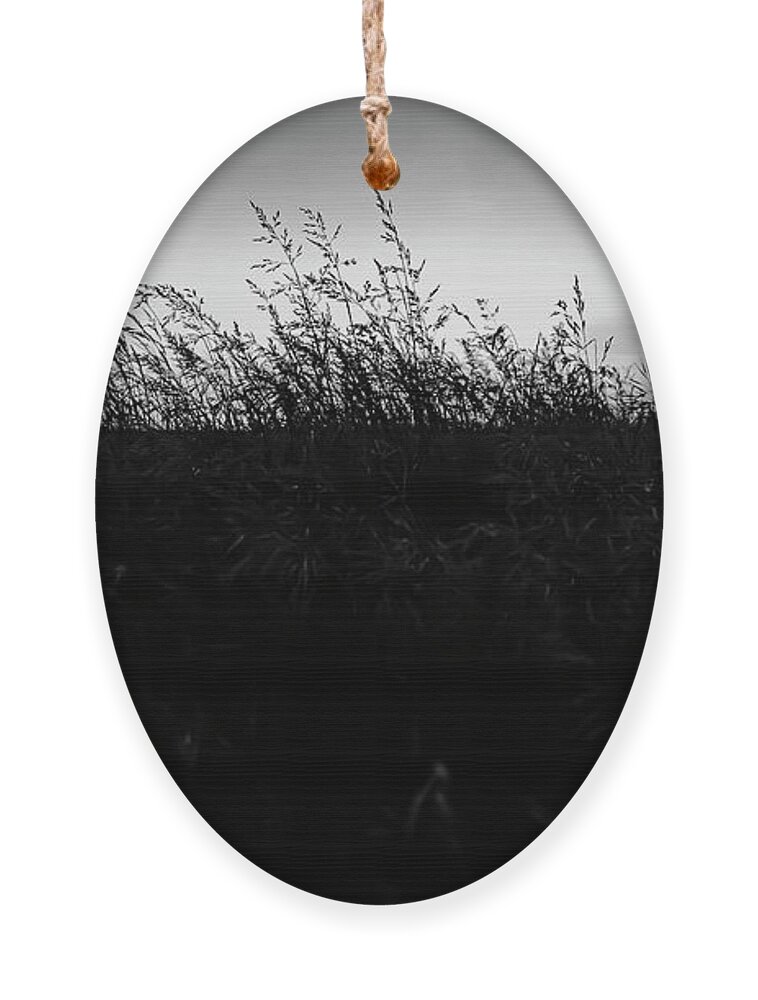 Sand Dunes Ornament featuring the photograph Beachgrass Sunset Black and White by Pelo Blanco Photo