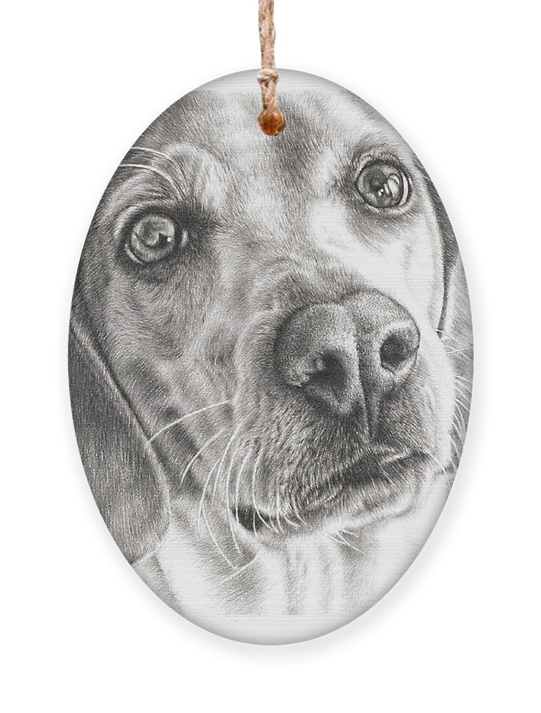Beagle Ornament featuring the drawing Beagle by Casey 'Remrov' Vormer