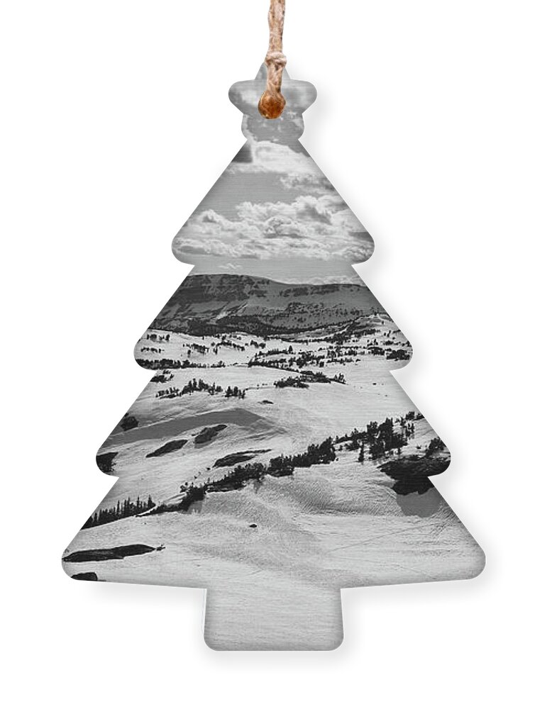Beartooth Panorama Black And White Ornament featuring the photograph Beartooth Pass In Snow by Dan Sproul