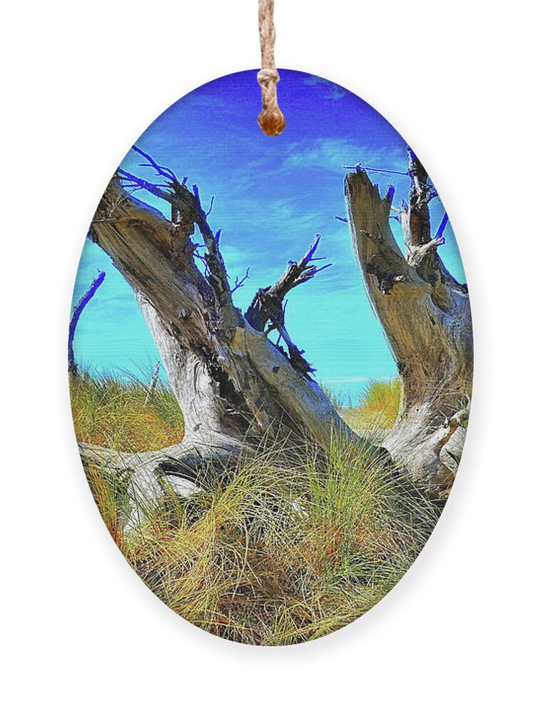 Driftwood Ornament featuring the photograph Beautiful Day by Lauren Leigh Hunter Fine Art Photography