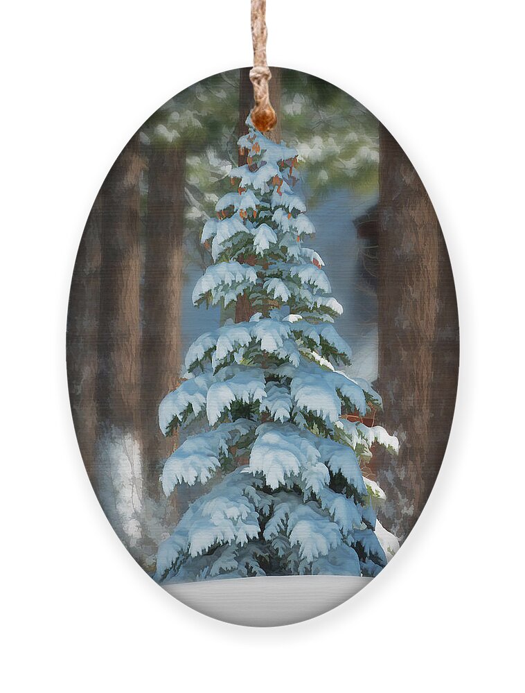 Background Ornament featuring the photograph Beauty in the Forest by Maria Coulson