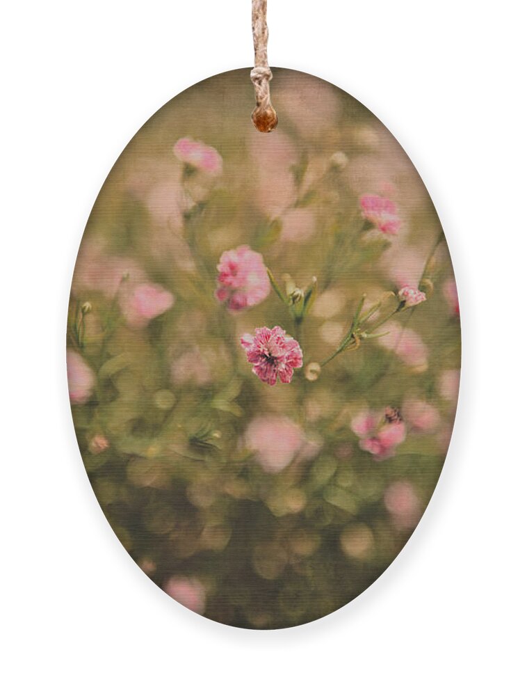  Ornament featuring the photograph Beauty in the garden by Yasmina Baggili