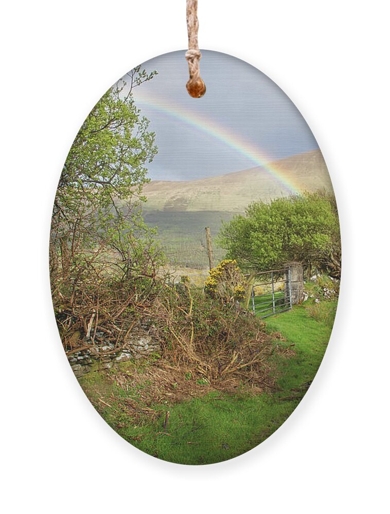 Rainbow Ornament featuring the photograph Beenatoor Luck by Mark Callanan