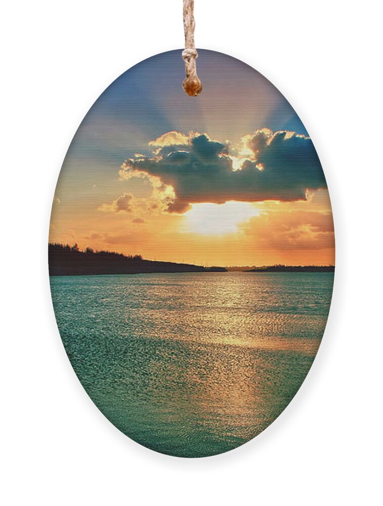 Water Ornament featuring the photograph Behold by Montez Kerr