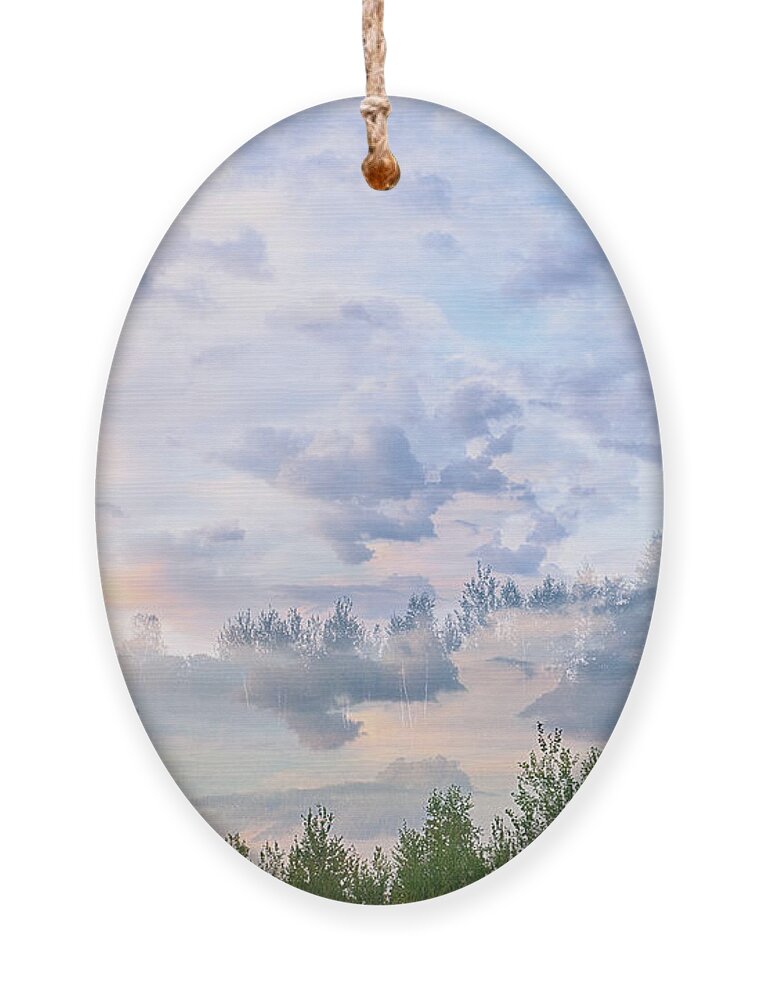 Nature Ornament featuring the photograph Beyond The Sky st. 3 by Andrii Maykovskyi