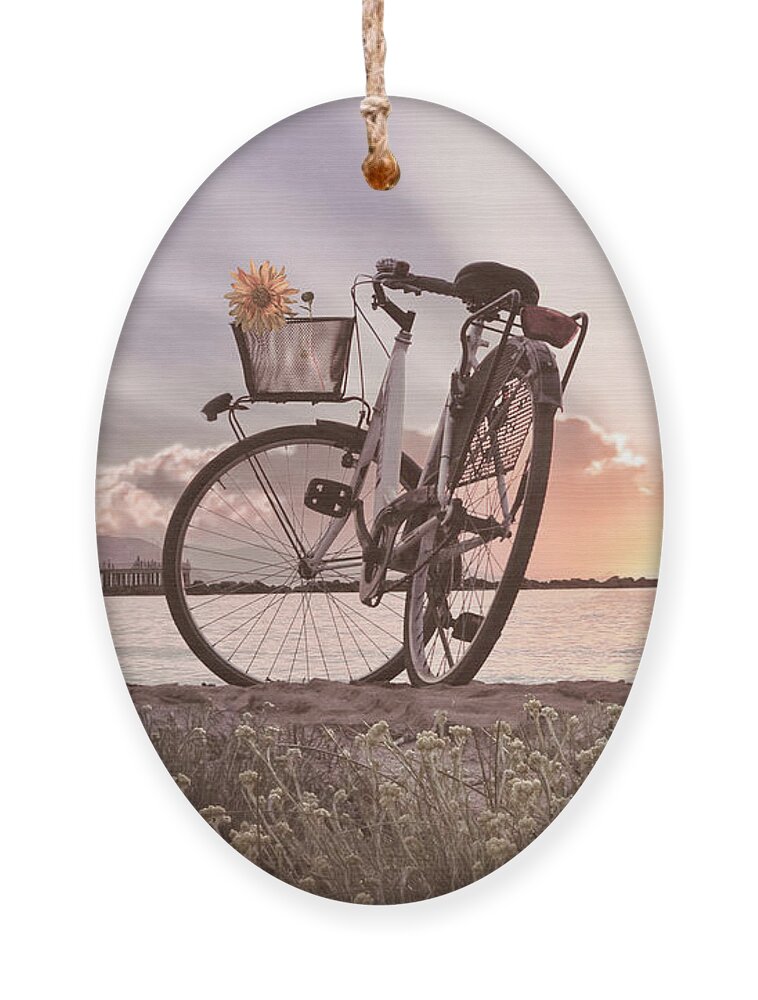 Bike Ornament featuring the photograph Bicycle at the Shore Cottage by Debra and Dave Vanderlaan