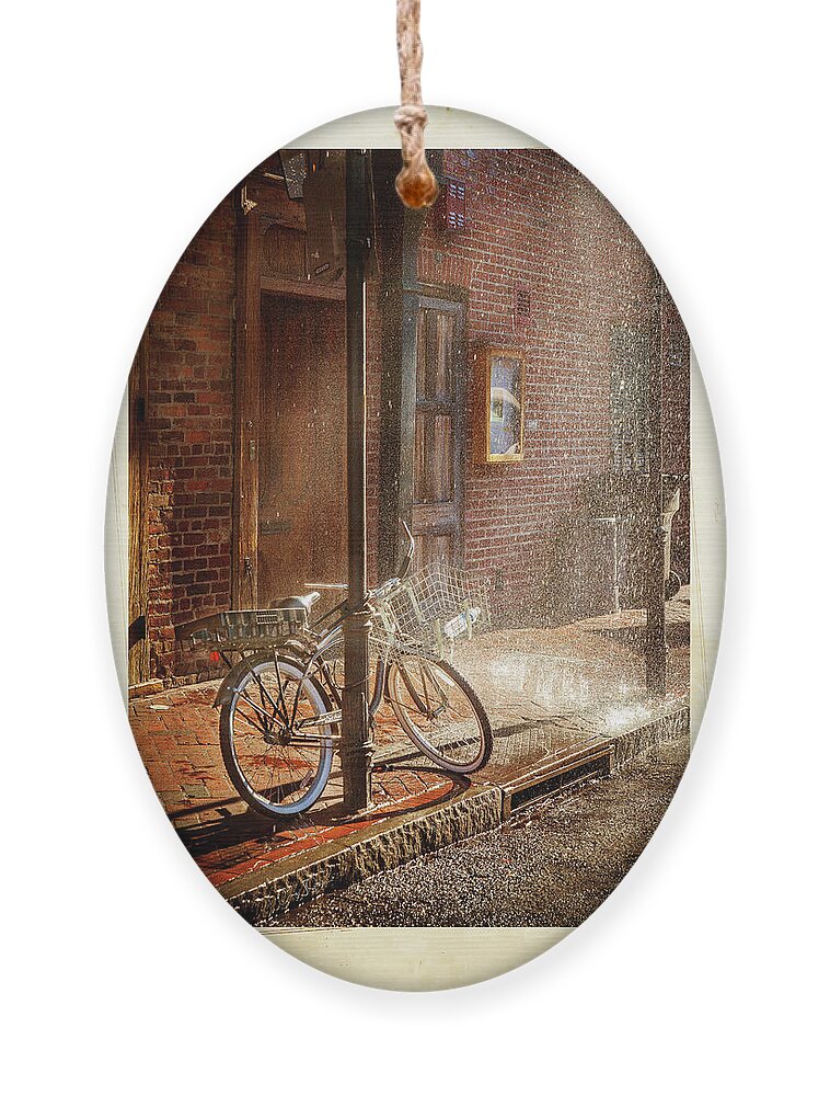 Bicycle Ornament featuring the photograph Bicycle in the Rain by Craig J Satterlee