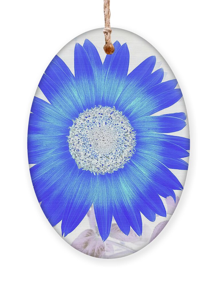 Flower Ornament featuring the photograph Blue Flower Power by Missy Joy