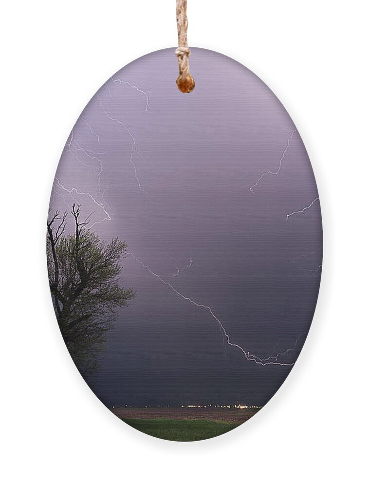 Lightning Ornament featuring the photograph Big Bolt by Marcus Hustedde