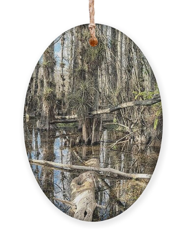 Big Cypress National Preserve Ornament featuring the photograph Big Cypress Wilderness by Rudy Wilms