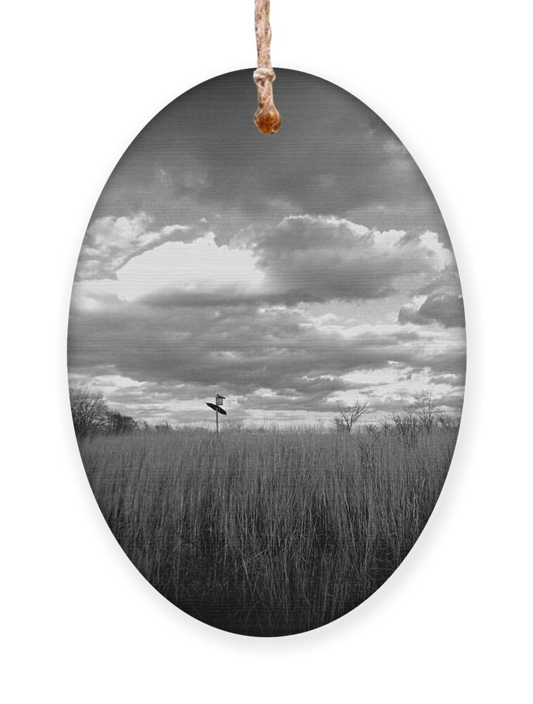 Nature Ornament featuring the photograph Bird House In The Prairie - Holga by Frank J Casella